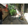 Cho thuê Villa Quận Bình Thạnh, hẻm rộng đường Nguyễn Xí. Giá : 1.000 usd/tháng.