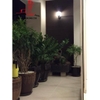 estella căn hộ cao cấp cho thuê, lầu 20, giá cho thuê 2800$/tháng