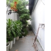 Cho thuê Villa Quận Bình Thạnh, hẻm rộng khu dân cư Bình Lợi. Giá : 24 triệu/tháng.