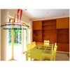 Cho thuê Villa Quận 2, khu Thảo Điền, giá 3000$