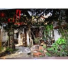 cho thuê villa mini sân vườn đường nguyễn cửu vân , phường 17, quận bình thạnh