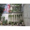 cho thuê nhà nguyên căn hẽm đường lam sơn, quận phú nhuận, giá thương lượng