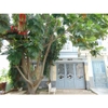 cần cho thuê villa khu combound đường lương đình của quận 2, gía cho thuê:28tr/tháng