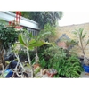 cần cho thuê villa khu combound đường lương đình của quận 2, gía cho thuê:28tr/tháng