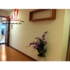 cần cho thuê căn hộ cao cấp Morning Star Building , đường xô viết nghệ tĩnh, quận bình thạnh, giá cho thuê:700$/tháng