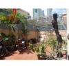 cho thuê biệt thự mini sân vườn đường võ thị sáu quận 1, giá cho thuê:1000$/tháng