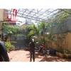cho thuê biệt thự mini sân vườn đường võ thị sáu quận 1, giá cho thuê:1000$/tháng