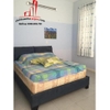 cần cho thuê biệt thự mini sau lưng the vistar , phường an phú quận 2, giá cho thuê:900$/tháng