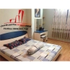 cần cho thuê căn hộ cao cấp đất phương nam, đường chu văn an, quận bình thạnh, giá 550$