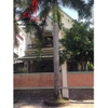 cho thuê villa quận 2, khu đường trần não giá cho thuê:58tr/tháng