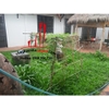 cho thuê villa quận 10, đường cao thắng giá 2300$/tháng