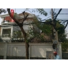 Cho thuê Biệt thự hồ bơi tại Thảo Điền - Quận 2 - giá 2500$