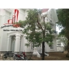 Cho thuê villa mặt tiền đường Nguyễn Văn Hưởng - Quận 2