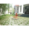 cho thuê biệt thự quận 2, khu biệt thự thảo điền giá 2500$