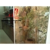 cần cho thuê căn hộ cao cấp đất phương nam, đường chu văn an, quận bình thạnh, giá 550$