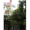 cần cho thuê nhà quận 2, phường thảo điền quận 2, giá 1200$/tháng