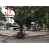 cần cho thuê villa nguyên căn đường lê văn sỹ quận phú nhuận, giá cho thuê:2000$/ tháng