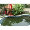 Cho thuê Villa Quận 2, khu compound Thảo Điền, giá 3500$