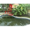 Cho thuê Villa Quận 2, khu compound Thảo Điền, giá 3500$