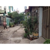 Cần bán hoặc cho thuê nhà nguyên căn số 26/28c (số mới 112/42) đường số 20 dương quảng hàm, phường 5, quận gò vấp