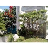 cần bán hoặc cho thuê biệt thự đường đặng hữu phổ, phường thảo điền, quận 2, giá cho thuê:9000$/tháng