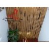 cho thuê nhà nguyên căn hẽm đường lê thánh tôn, quận 1, giá 1350$/tháng