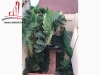 cho thuê villa quận 1, nhà mặt tiền thụt đường nguyễn thị minh khai giá cho thuê:75tr/tháng