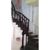 cần cho thuê nhà nguyên căn mặt tiền đường hoa huệ quận phú nhuận, giá cho thuê:25tr/tháng