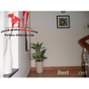 cho thuê nhà đẹp nguyên căn hẽm đường huỳnh văn bánh, quận phú nhuận, giá cho thuê:800$/tháng