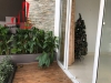 cần cho thuê villa phố khu đường trần quang diệu quận 3, giá cho thuê:50tr/tháng