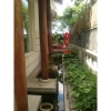 Cho thuê Villa quận 2, khu compound Thảo Điền, giá 3000$