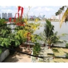 cho thuê villa quận 2, đường nguyễn văn hưởng, khu biệt thự bờ sông giá 2500$