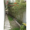 Cho thuê Villa Quận 2, khu Thảo Điền, giá 3000$
