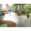 Cho thuê Villa Quận 2, khu Thảo Điền, giá 2300$