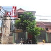cho thuê nhà nguyên căn hẽm đường điện biên phủ,phường 17, quận bình thạnh
