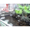 Cho thuê Villa khu compound Quận 2, đường Trần Não giá thương lượng