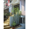 Cho thuê biệt thự phố khu compound Quận 2 - giá 1200$