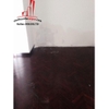 cho thuê villa mini khu làng báo chí, phường thảo điền quận 2, giá cho thuê:650$/tháng
