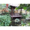 Cho thuê Villa Quận 2, khu Thảo Điền, giá 4500$