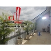 bán hoặc cho thuê villa quận 2, đường trần não giá bán 18 tỷ, thuê thương lượng