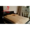 cho thuê căn hộ Serviced apartment quận 1, đường thái văn lung, giá 600$/tháng