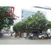 cho thuê nhà quận bình thạnh, đường d2 giá cho thuê: thương lượng