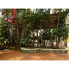 Cho thuê Villa Quận 2, khu Thảo Điền, giá 3000$