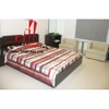 cho thuê căn hộ Serviced apartment quận 5, đường trần bình trọng giá 350- 400$/tháng
