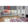 cho thuê căn hộ Serviced apartment quận 5, đường trần bình trọng giá 350- 400$/tháng