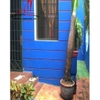 cho thuê villa đường bình giã, quận tân bình, giá 1300$/tháng