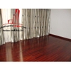 cho thuê biệt thự quận 7,đường bùi văn ba, giá 3500$