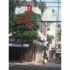 Cho thuê nhà quận Tân Bình, mặt tiền đường nội bộ khu Bầu Cát, phường 14, quận Tân Bình, Giá: 35 Triệu