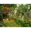 Cho thuê Villa Quận 2, khu Thảo Điền, giá 1500$