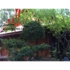 cho thuê villa mini phường thảo điền , quận 2, gía cho thuê:30/tháng